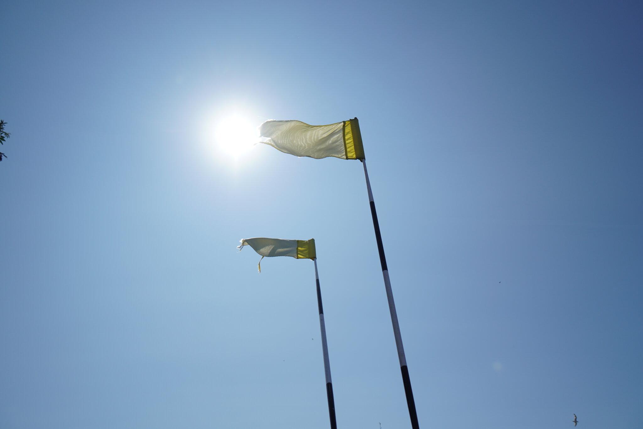 sunny and windy day