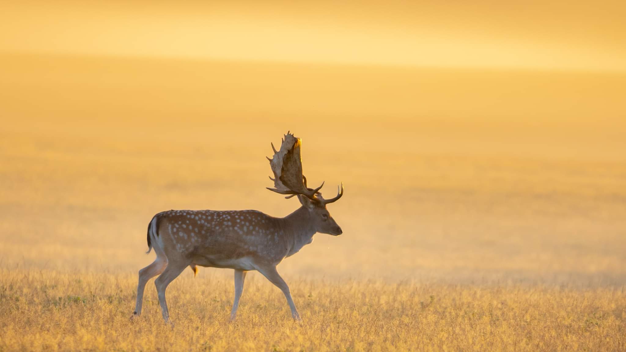 Sunrise in Denmark