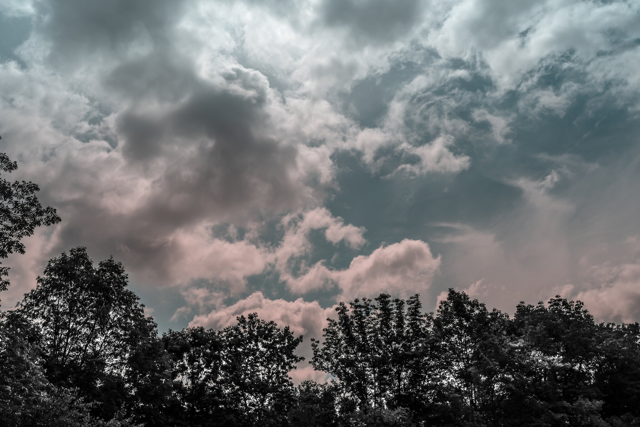 sunset clouds dark bushes_1.JPG