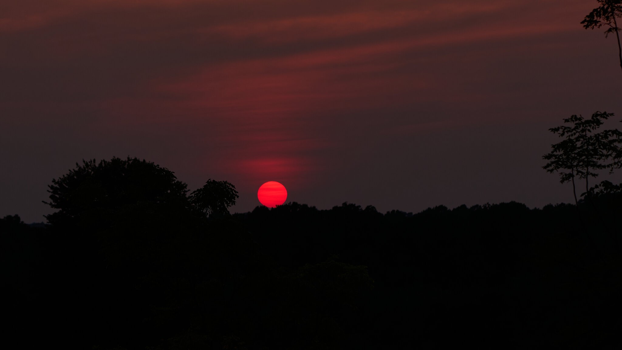 Sunset - Longwood - 08142026 - 02.jpg