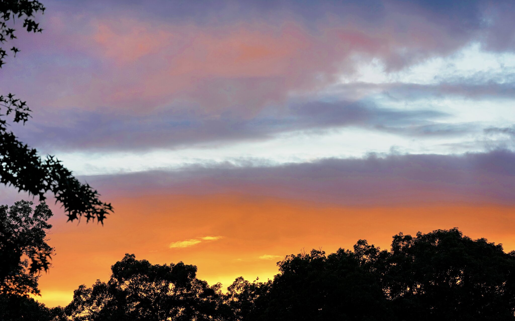 Sunset SM Final.jpg