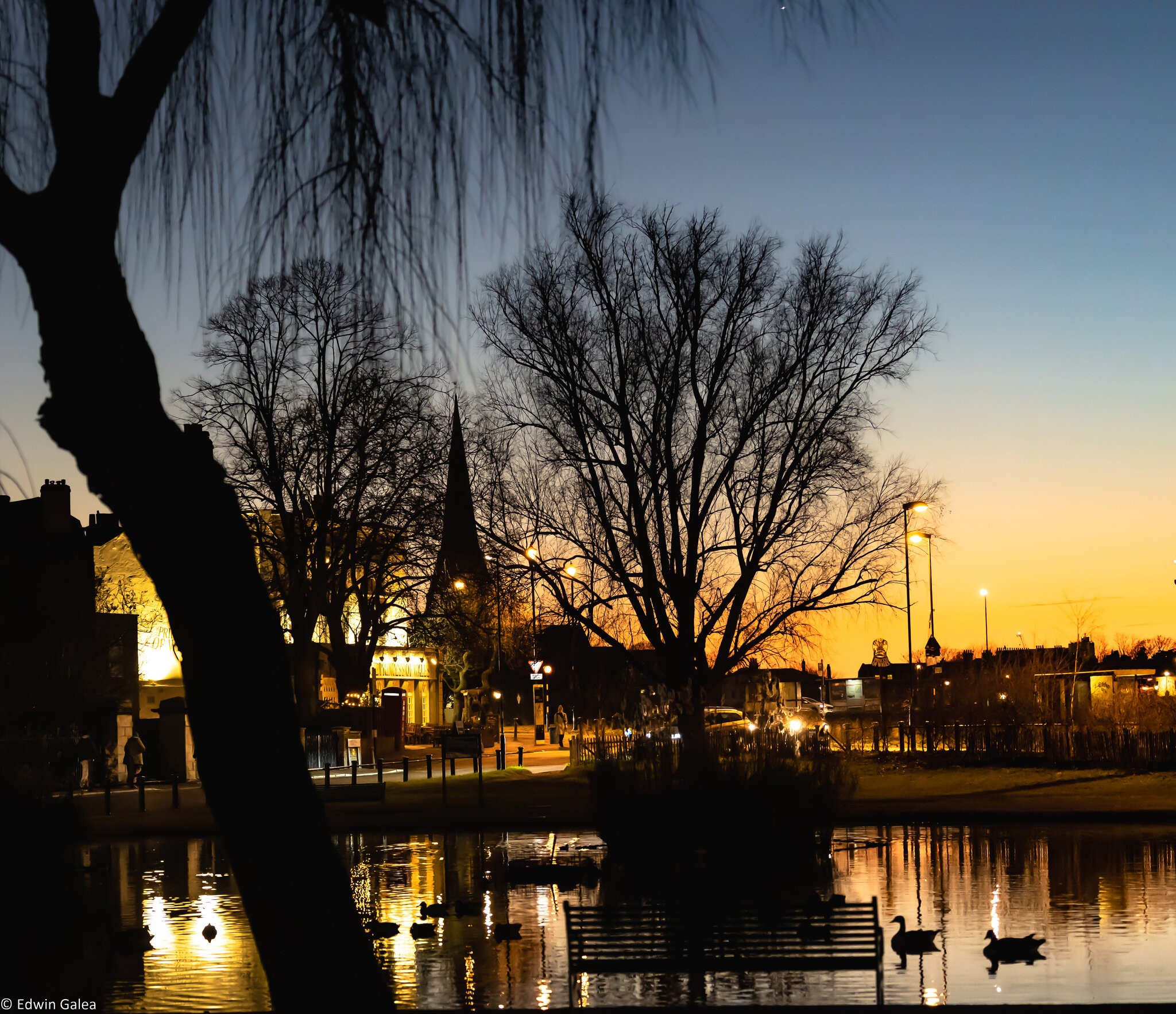 sunset_at_the_pond-1.jpg