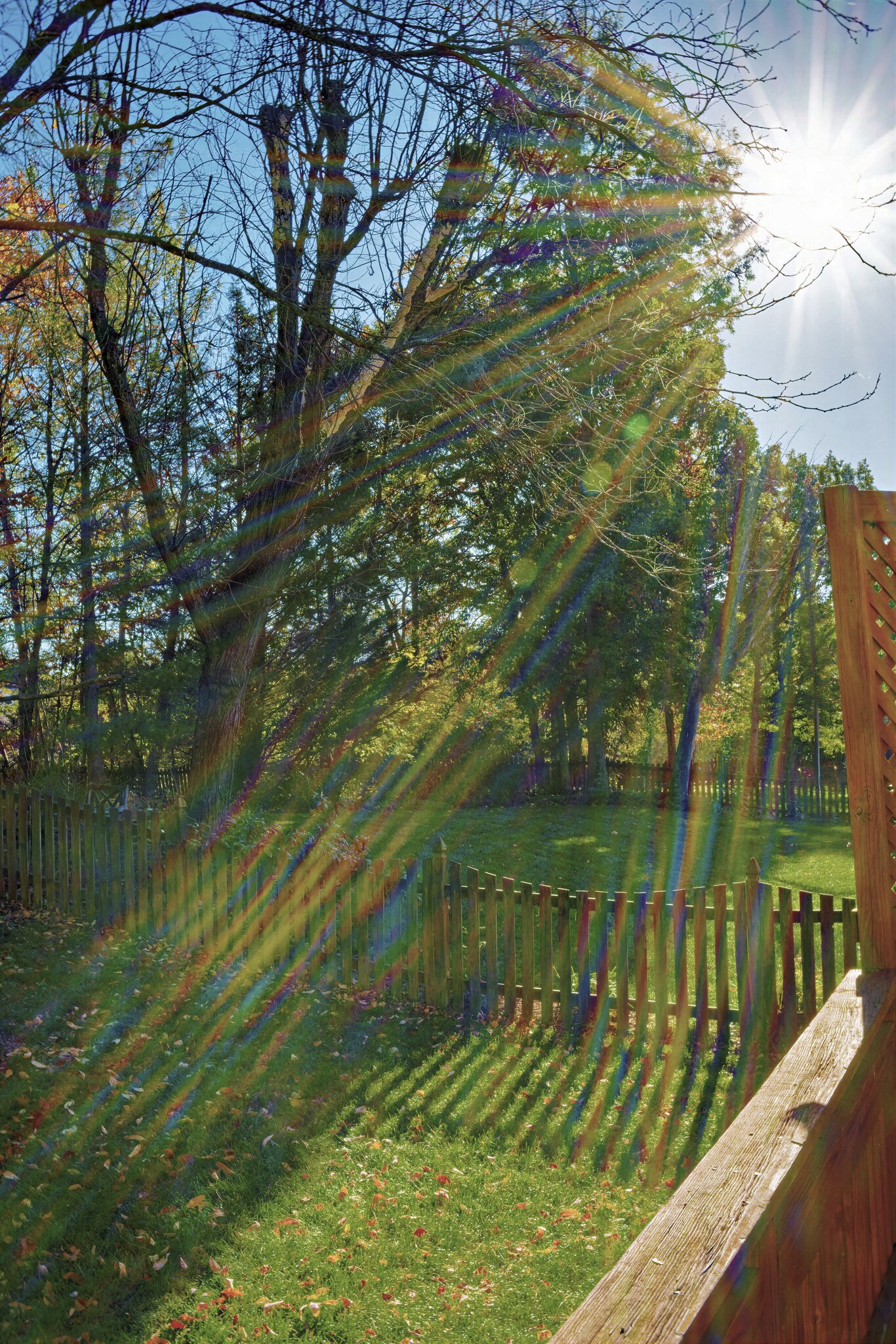 Sunshine.jpg