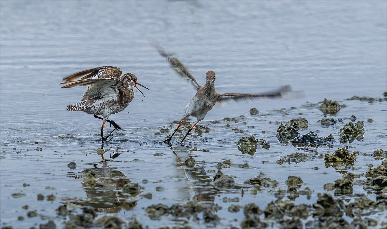 Taking flight