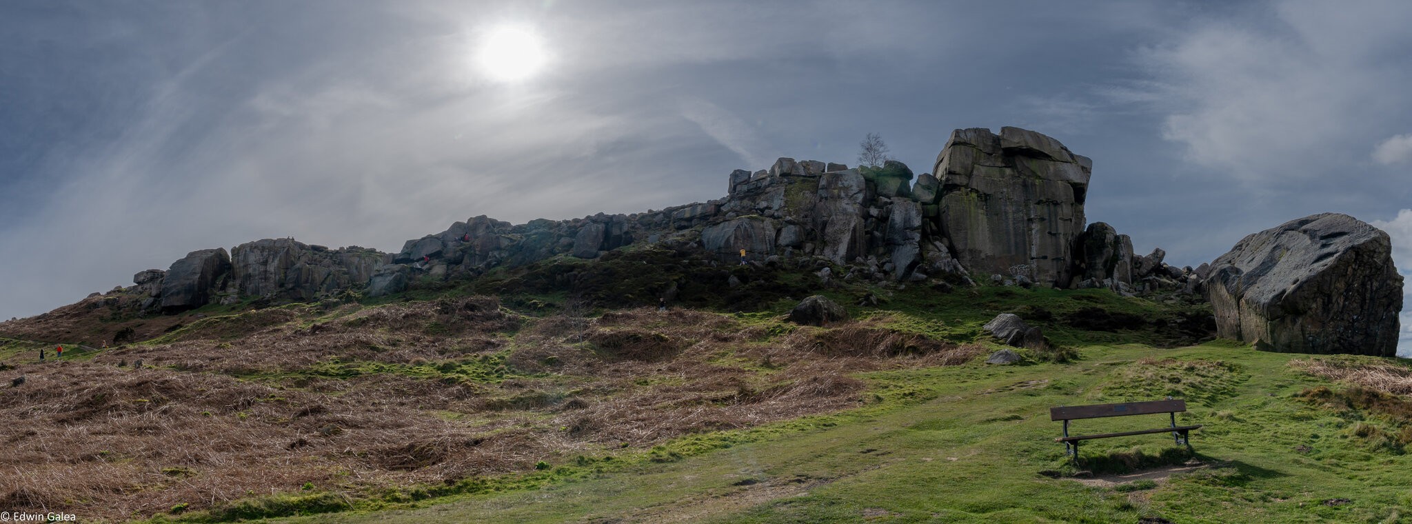 The Cow and Calfy Ilkley-1.jpg