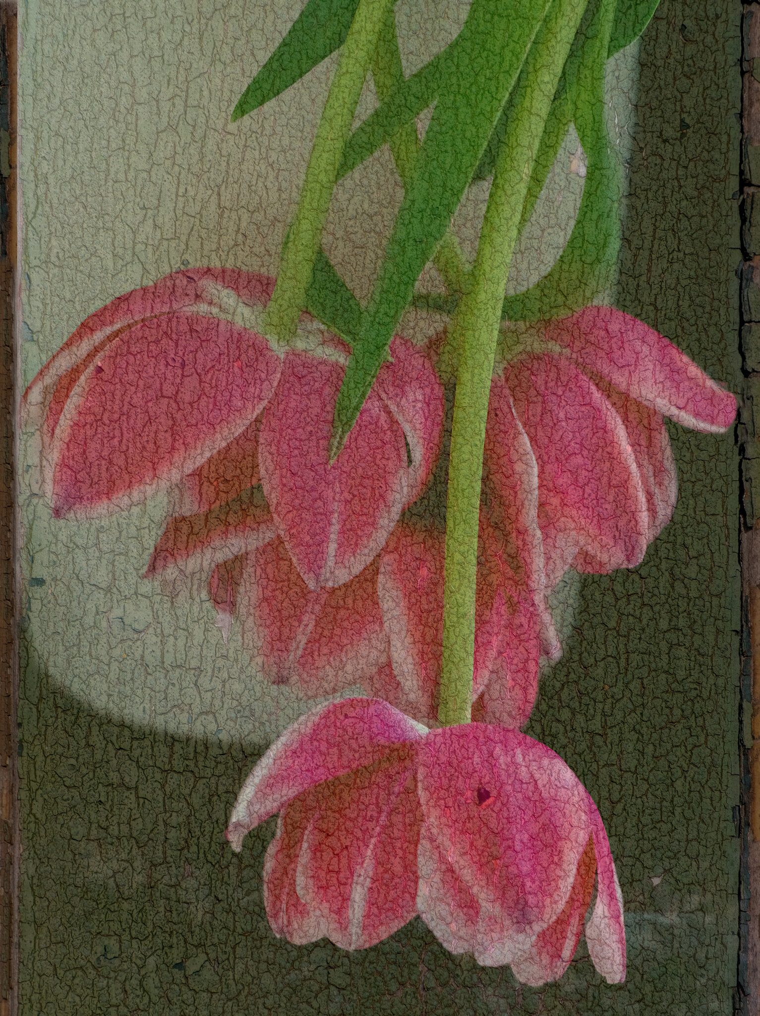 Tulips Textured.jpg