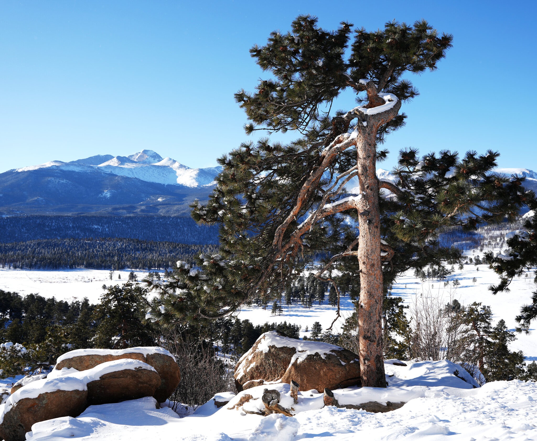 Upper Beaver Meadows RMNP