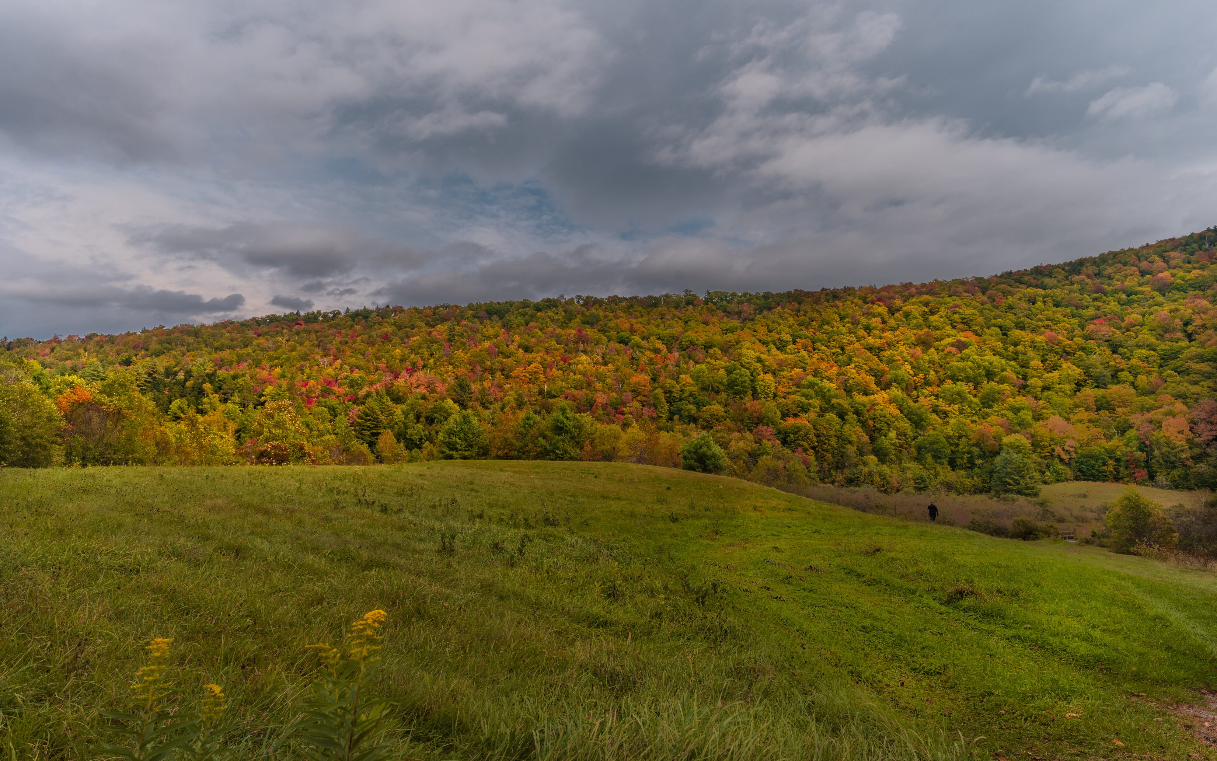 Vermont Fall Colors