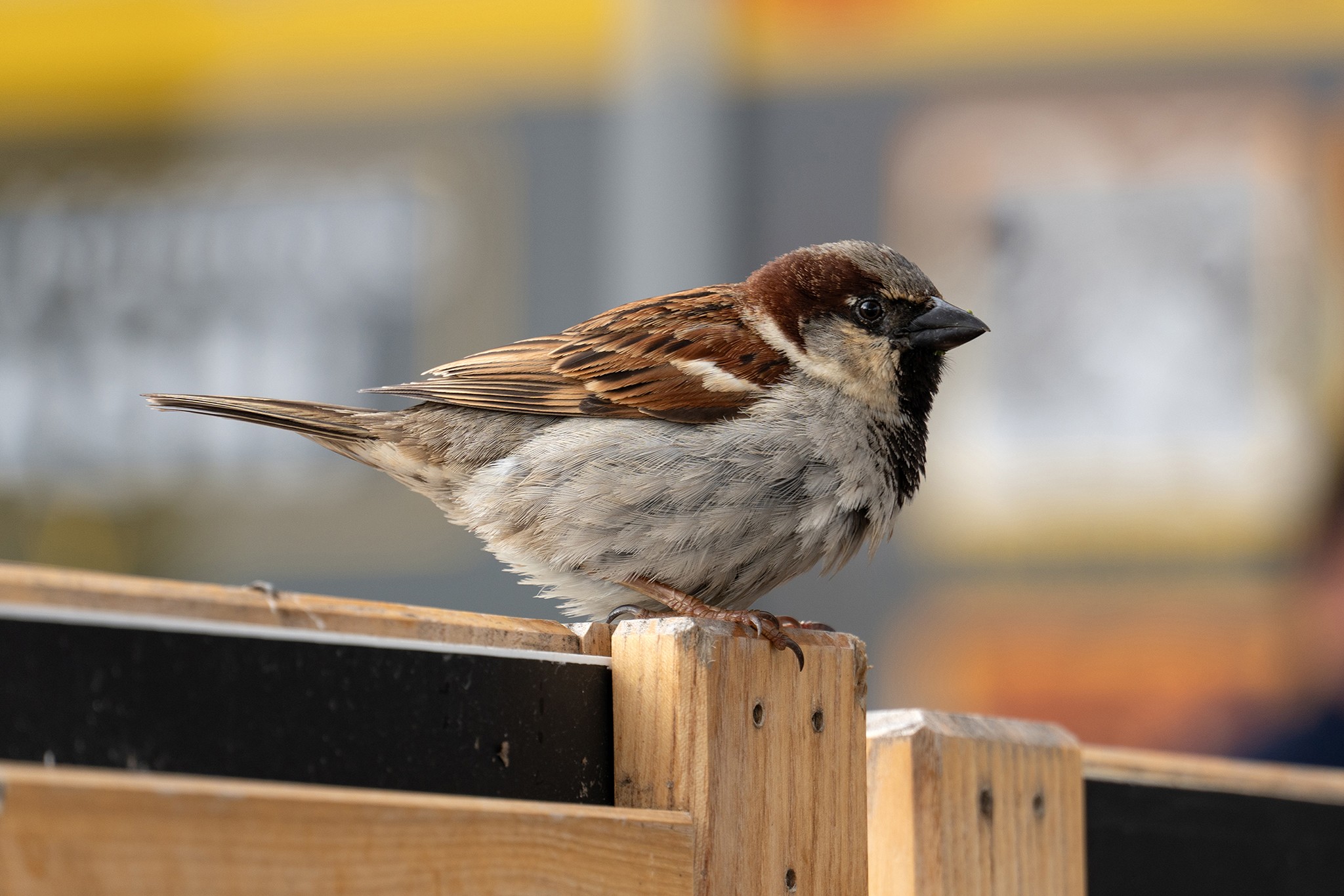 Visit during a coffee break