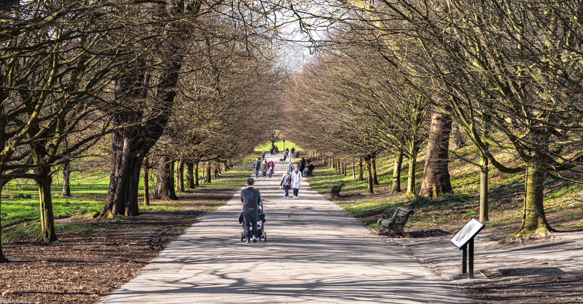 walk in the park-2.jpg