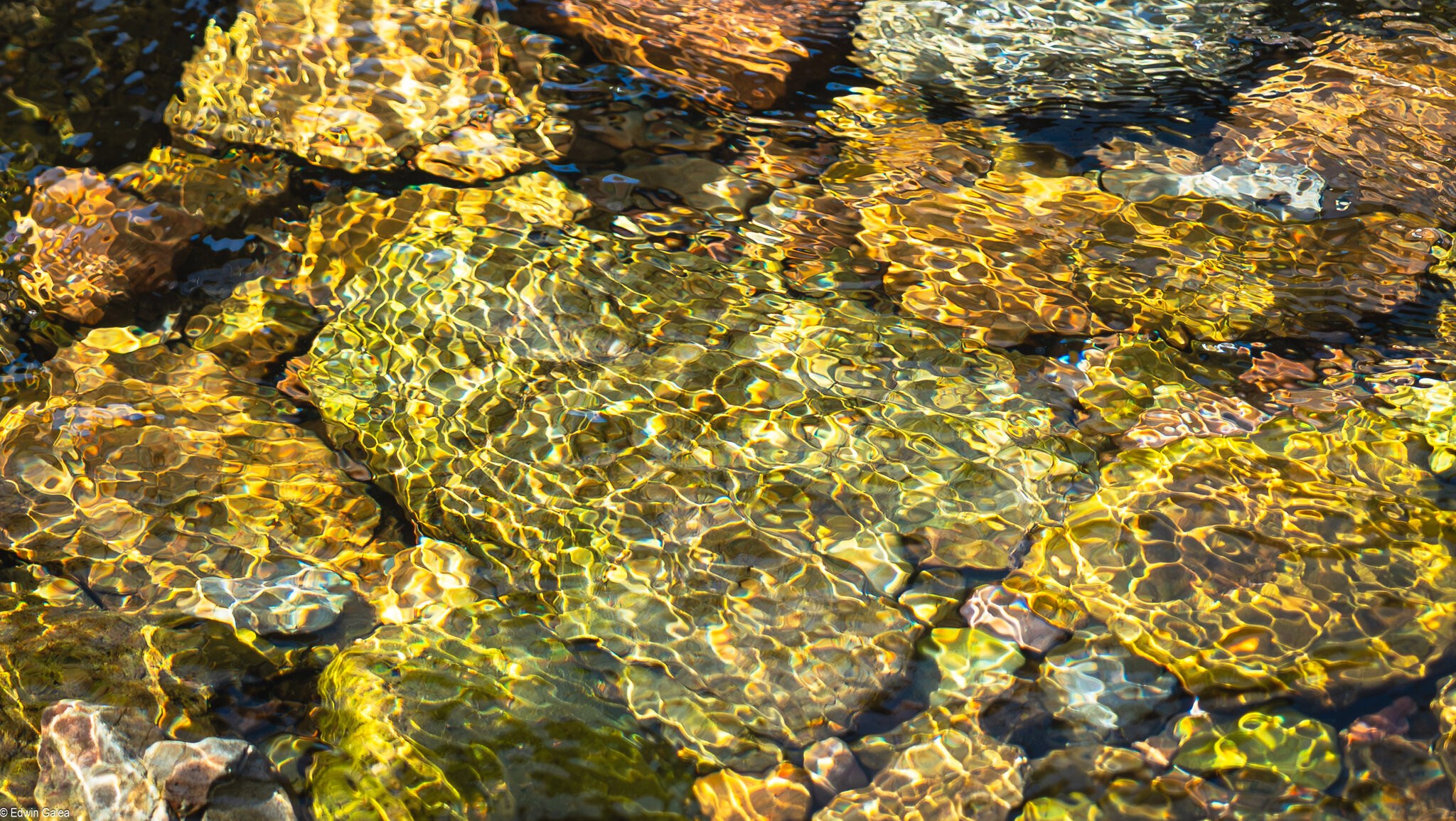 water colours-3.jpg