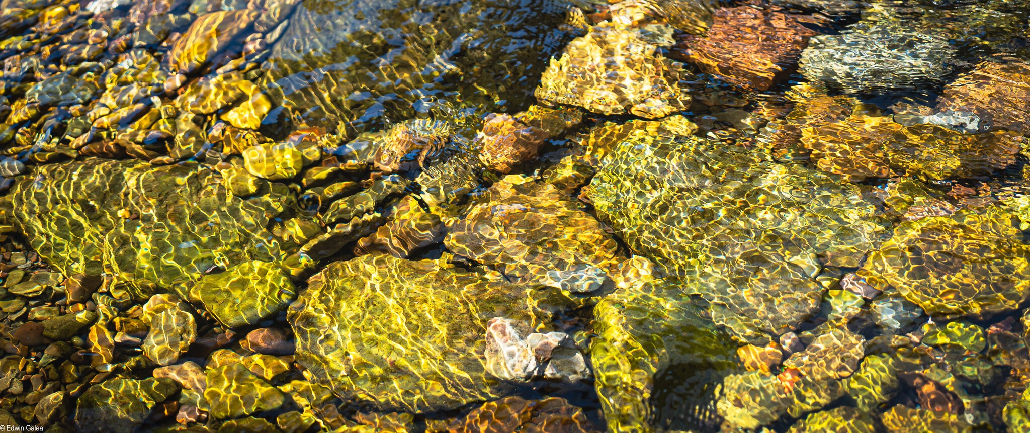 water colours-4.jpg