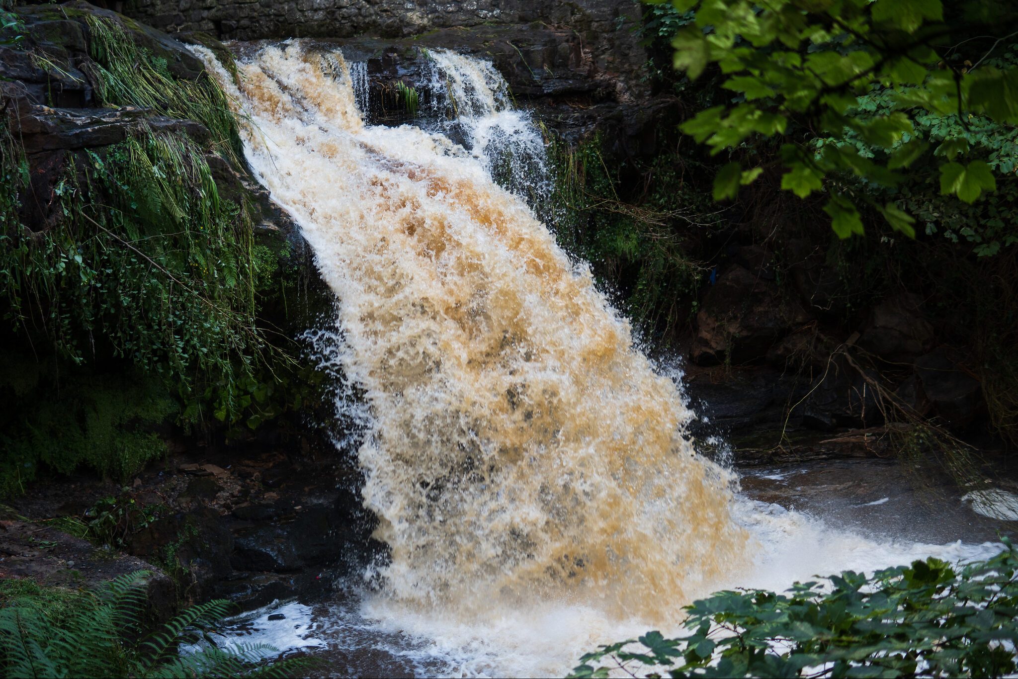 Waterfall.jpg