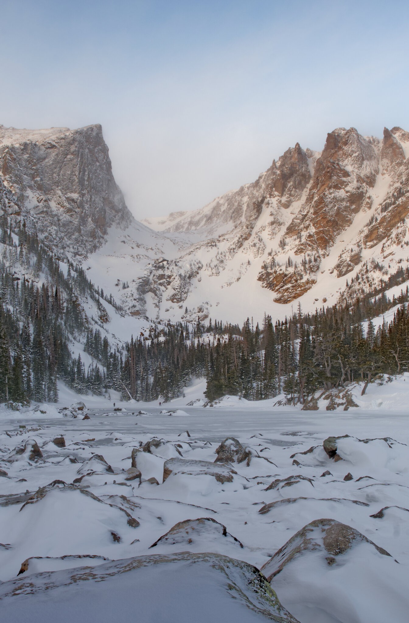 Wind Swept Dream RMNP