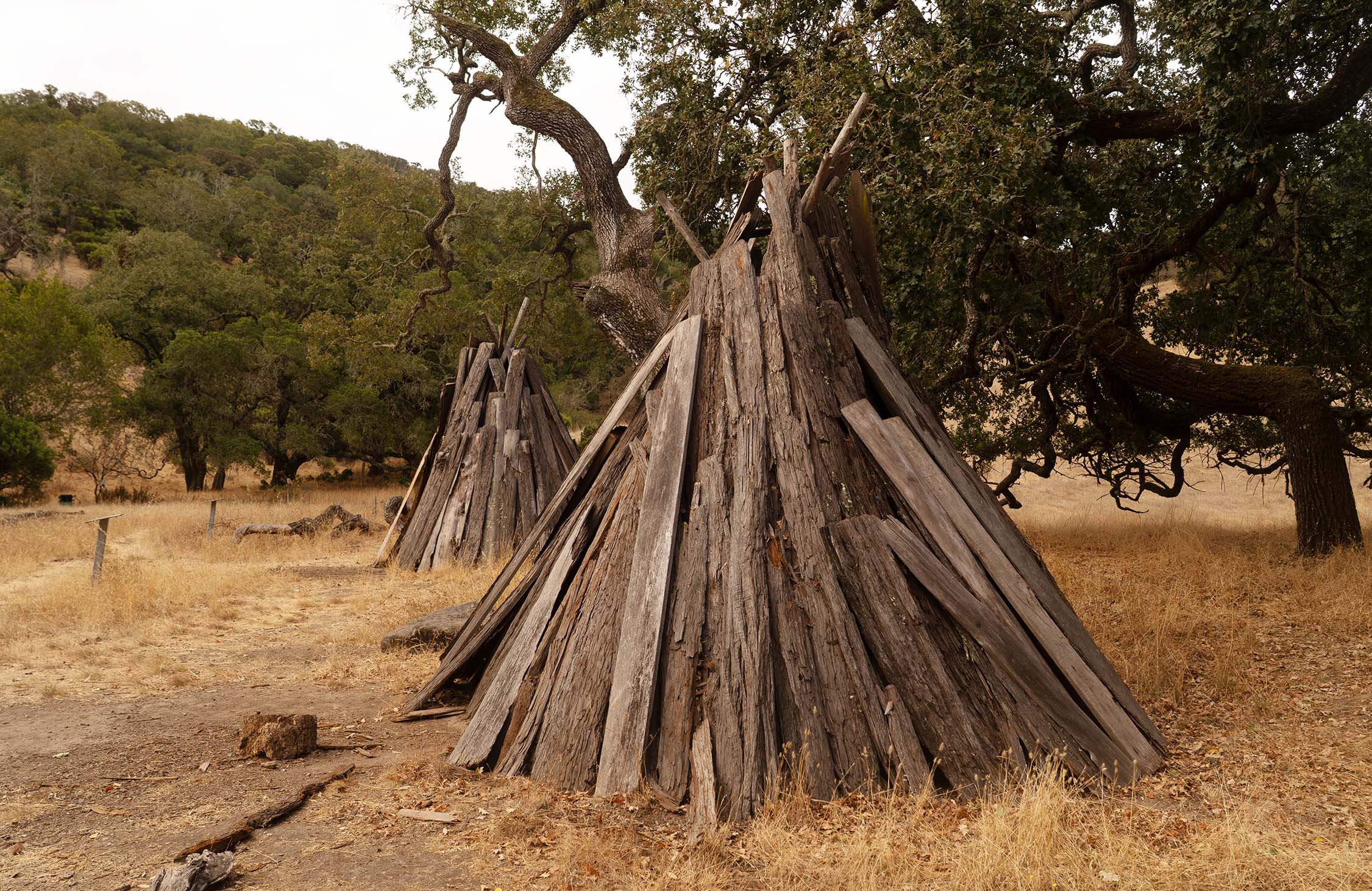 Wooden lean-tos as housing for an old Indian tribe of Northern California