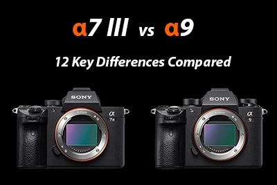 sony-a7iii-vs-a9
