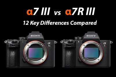 Sony a7iii vs a7riii