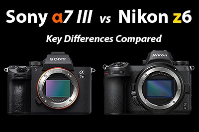sony a7iii vs nikon z6 comparison