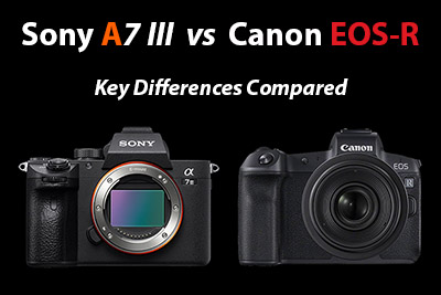 sony a7iii vs canon eos r