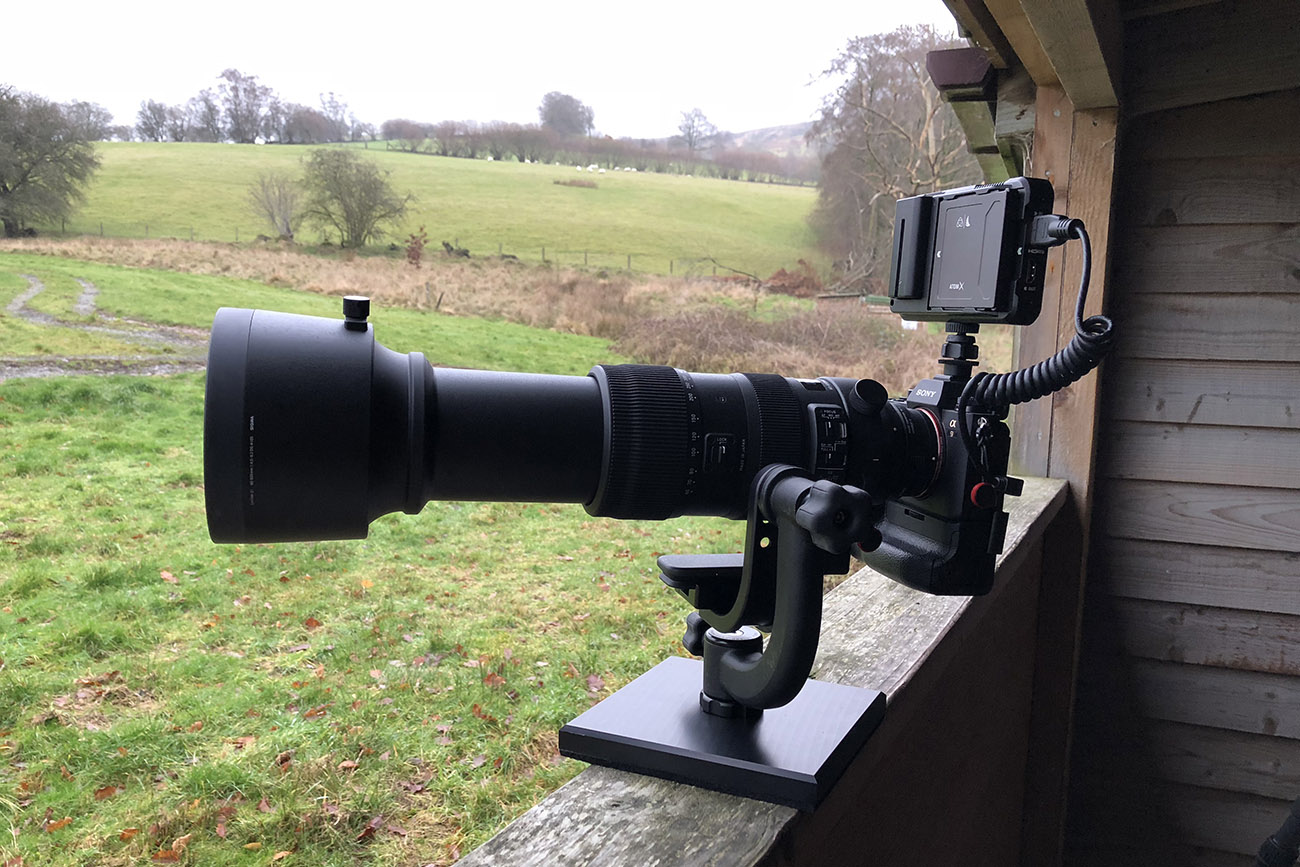 Sigma 60-600mm F4.5-6.3 DG OS HSM Sport Review for Sony E-mount