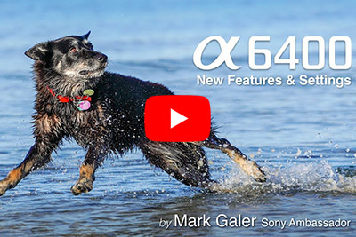 mark galer a6400 review