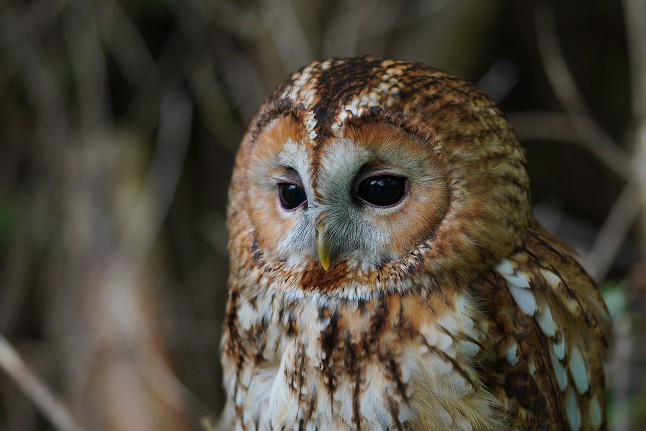 Sony a6400 Sample Image Gallery