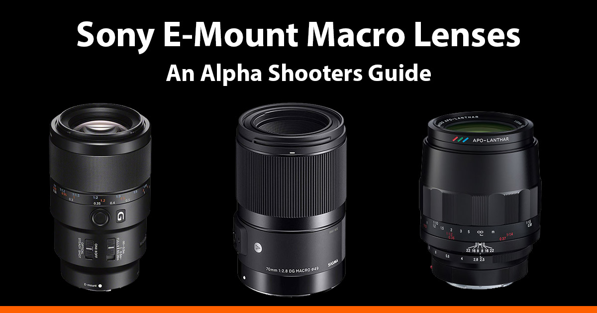 Sony EMount Macro Lenses Guide
