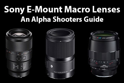 Sony E-mount Macro Lenses