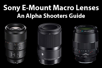 Sony E-mount Macro Lenses