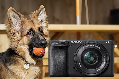 sony a6400 animal eye af setup