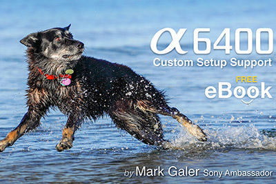 free sony a6400 ebook