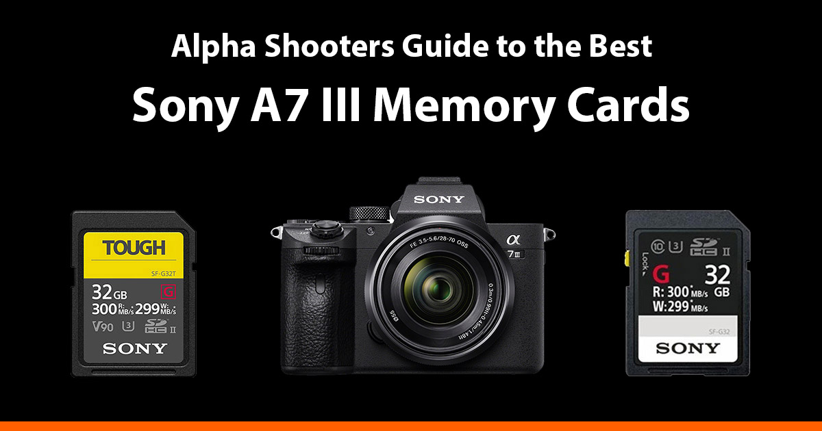 Best Sony A7III Memory Cards