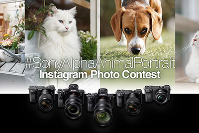 sony-alpha-animal-portrait-contest-400px