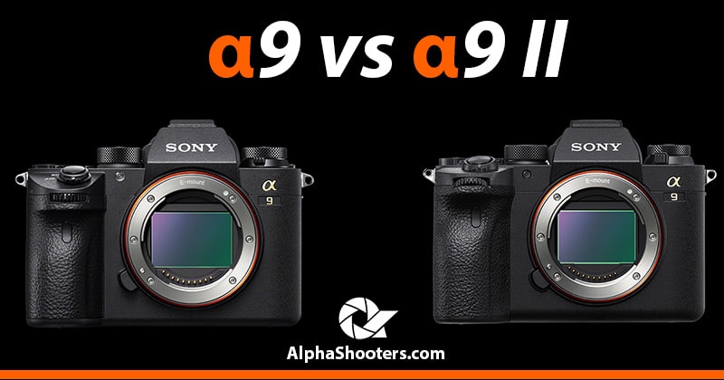 Sony A9 Vs A9II Key Spec Comparison AlphaShooters sony-a9-vs-a9ii-key-spec-comparison-alphashooters