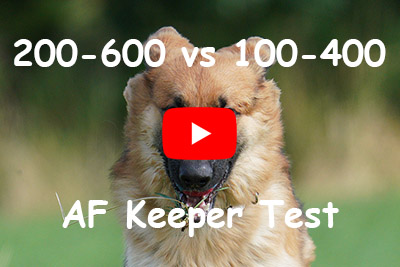 sony 200-600 vs 100-400 autofocus keeper test