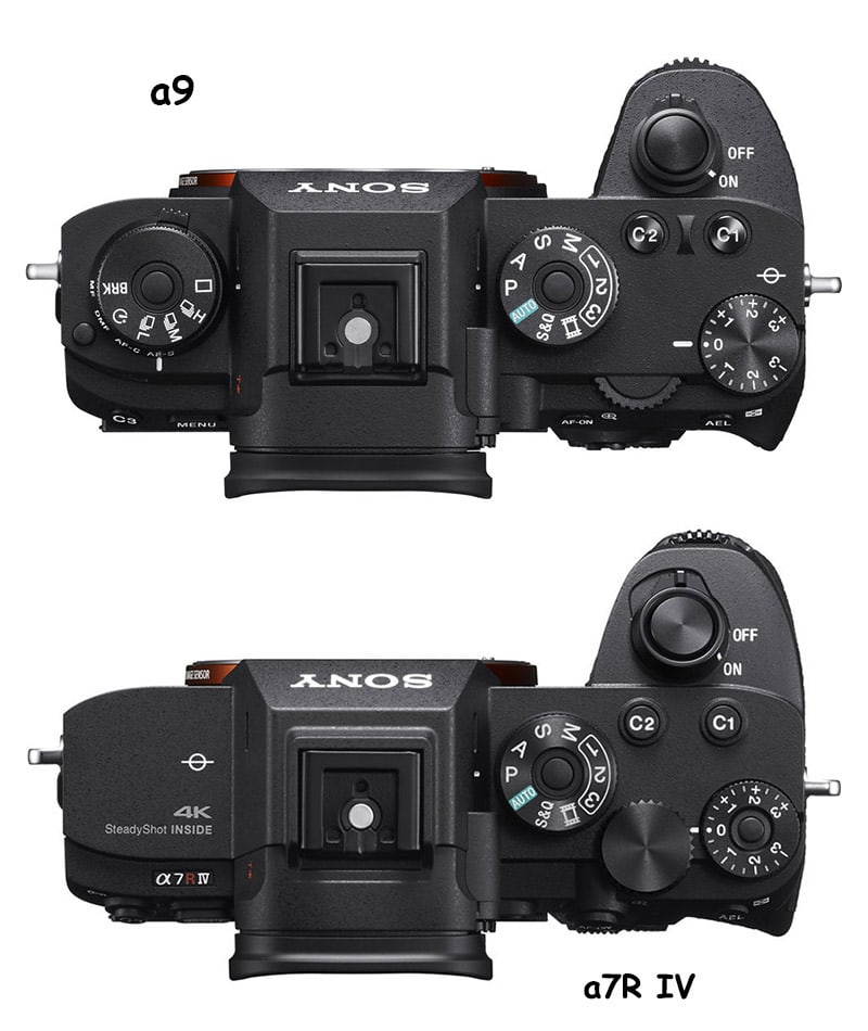 sony-a7r-iv-vs-a9-key-differences-alphashooters