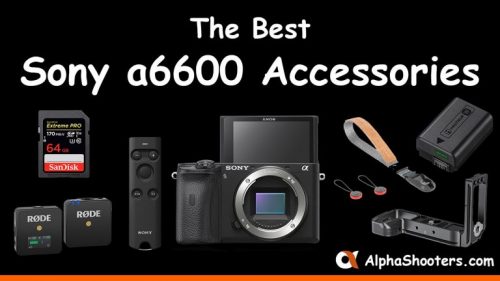 Sony a6600 Accessories