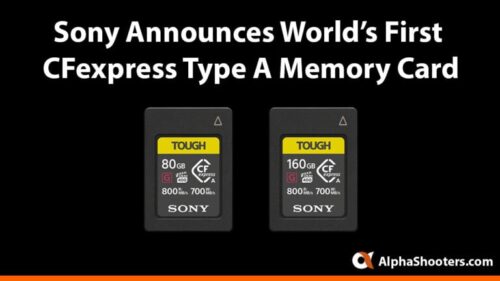 Sony CFexpress Type A Memory Cards