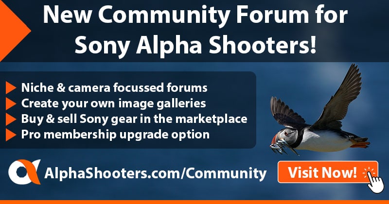 Sony Alpha Shooters Forum