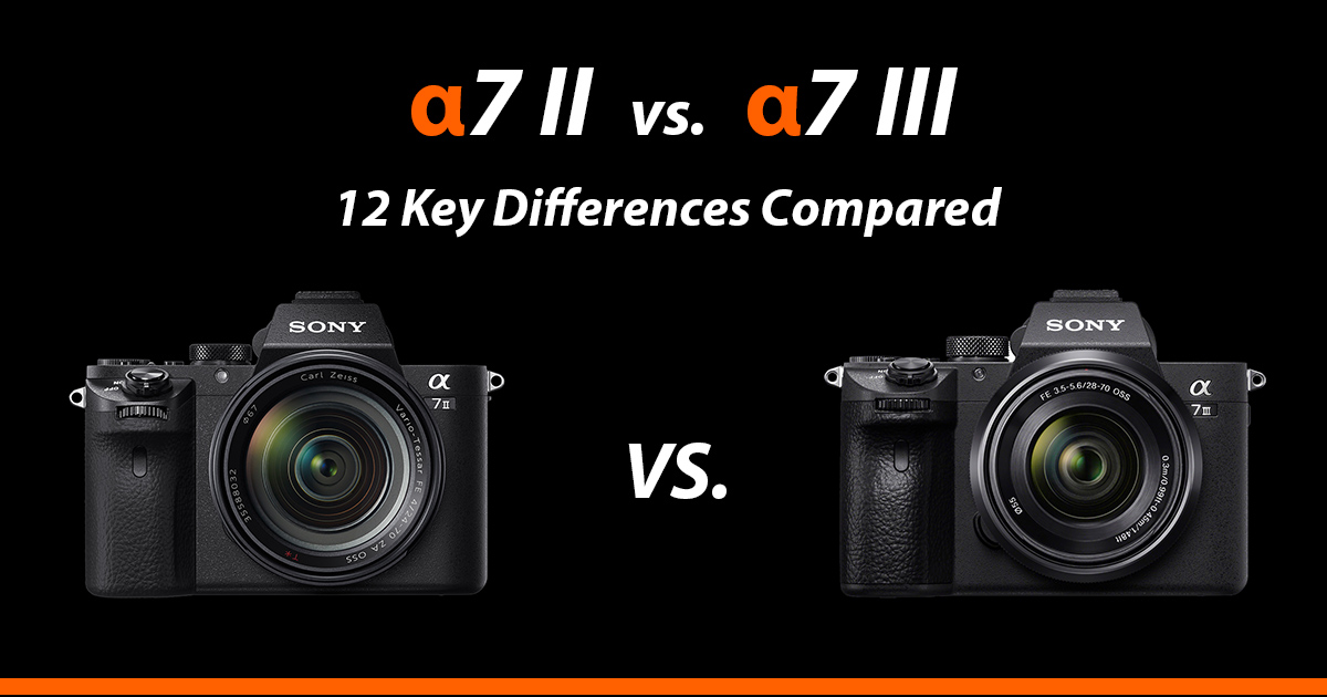 Sony a7II vs a7III 12 Key Differences Compared Alpha Shooters